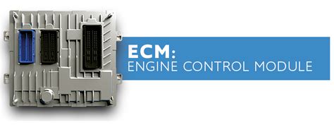 Engine Control Module (ECM) Wiring