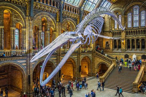England Museums