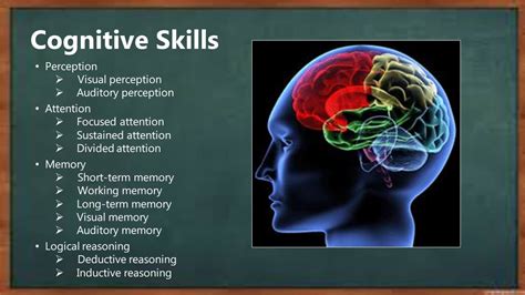 Enhances Cognitive Skills