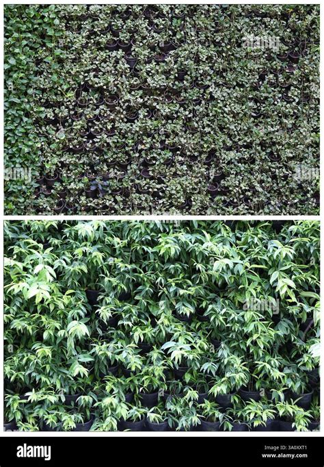 Enhancing Natural Features