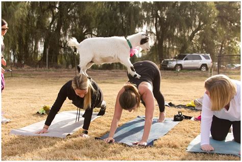 Enjoying Goat Yoga