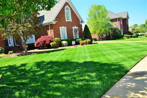 Enjoying your Lawn in South Jersey