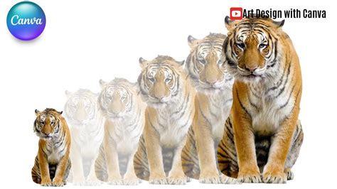 Unlocking Creativity: Techniques for Enlarging Your Animation Skills