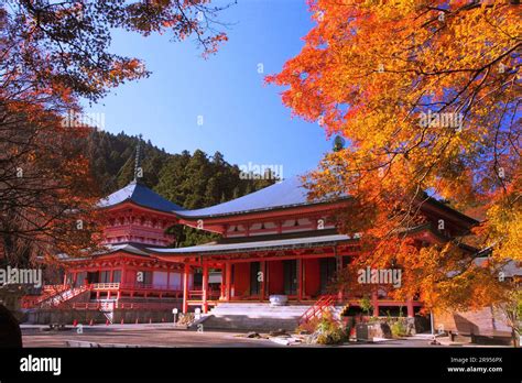 Enryakuji Temple Walk