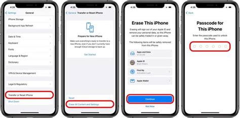 Ensure iPhone Settings