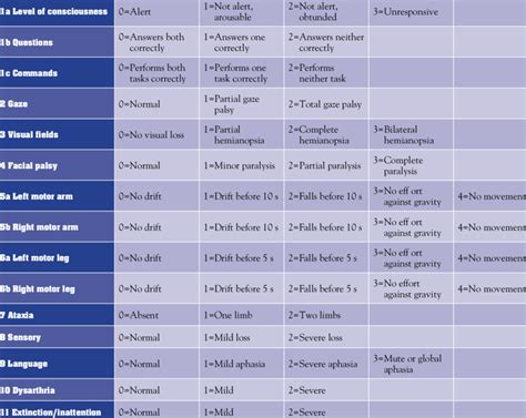 Ensuring Accuracy: Challenges and Considerations in NIHSS Assessment