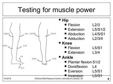 Ensuring Consistency in Motor Leg Assessment