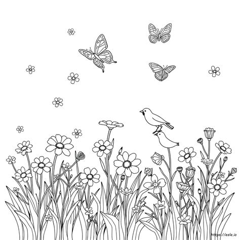 Ensuring High Quality in Your Printable Coloring Pages Packet