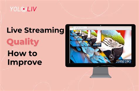 Ensuring Optimal Streaming Quality
