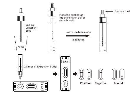 Entamoeba Histolytica PCR Test and interpretation