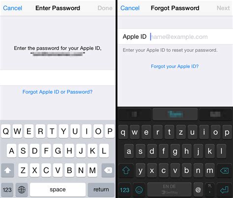 Enter your Apple ID Password