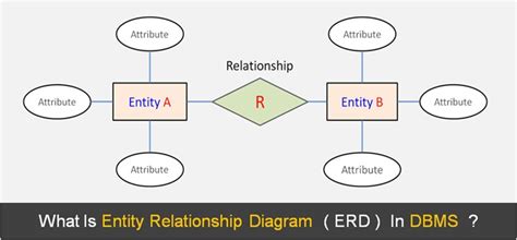 Entity Diagram In Dbms