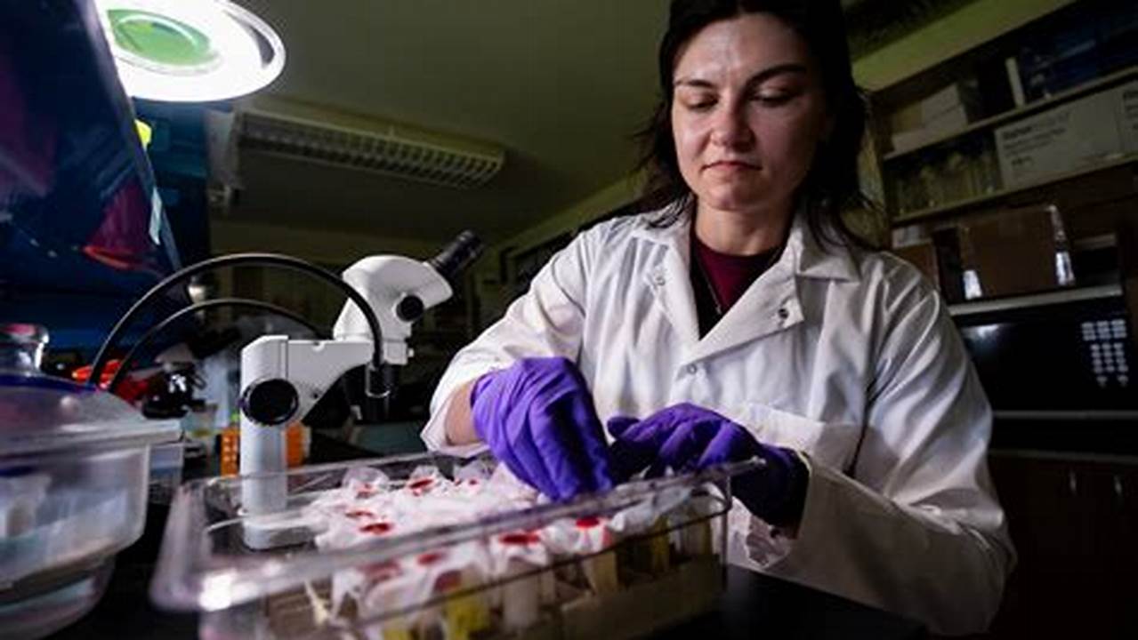 Entomology Graduate Programs Europe