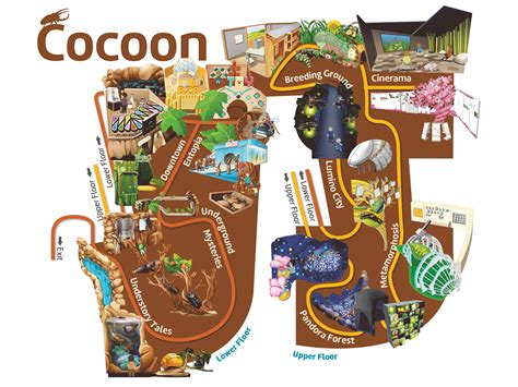 Entopia Cocoon Learning