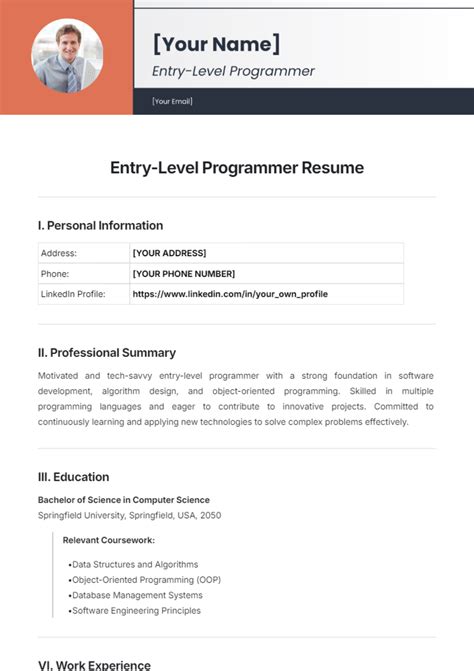 Entry Level Programmer Resume Template