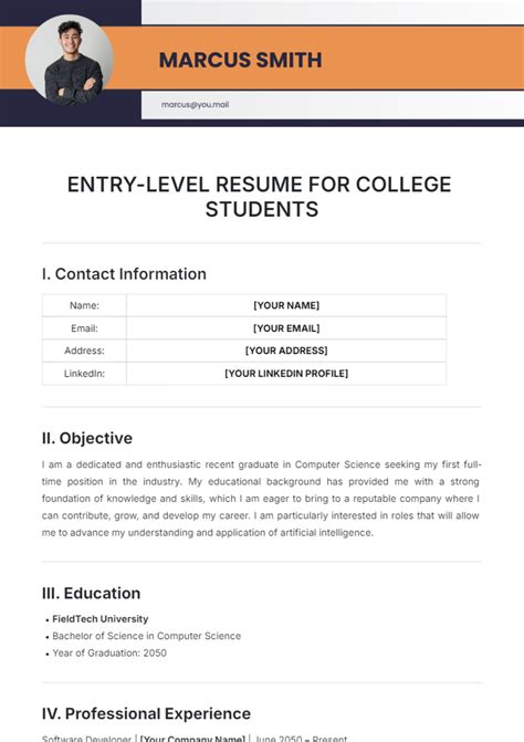 Entry Level Resume Examples For College Students