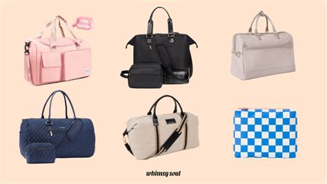 Entry-Level Options (The Budget-Friendly Picks)