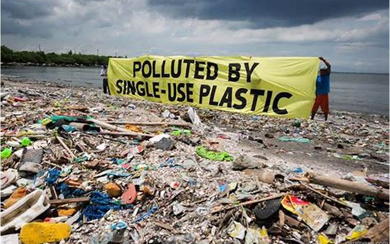 Environmental Impact Of Plastik Siomay