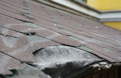 Environmental Impact of Roof Shingles