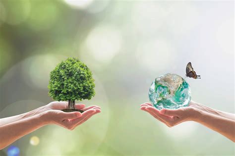 Environmental Sustainability and Integrity What should your company