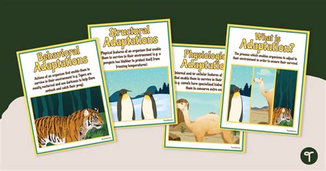Environmental Adaptations