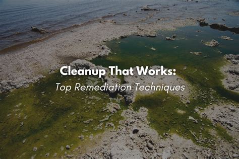 Environmental Cleanup Techniques