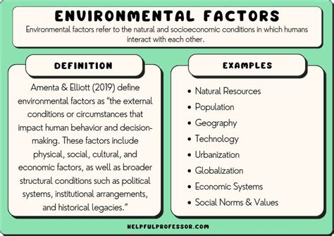 Environmental Factors Play a Role