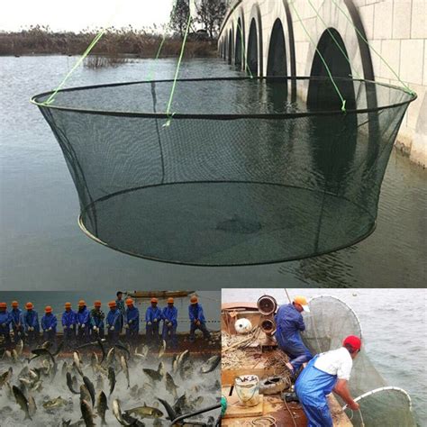 Environmental Fish Netting