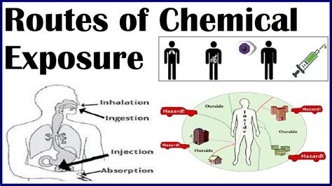 Environmental and Chemical Exposure