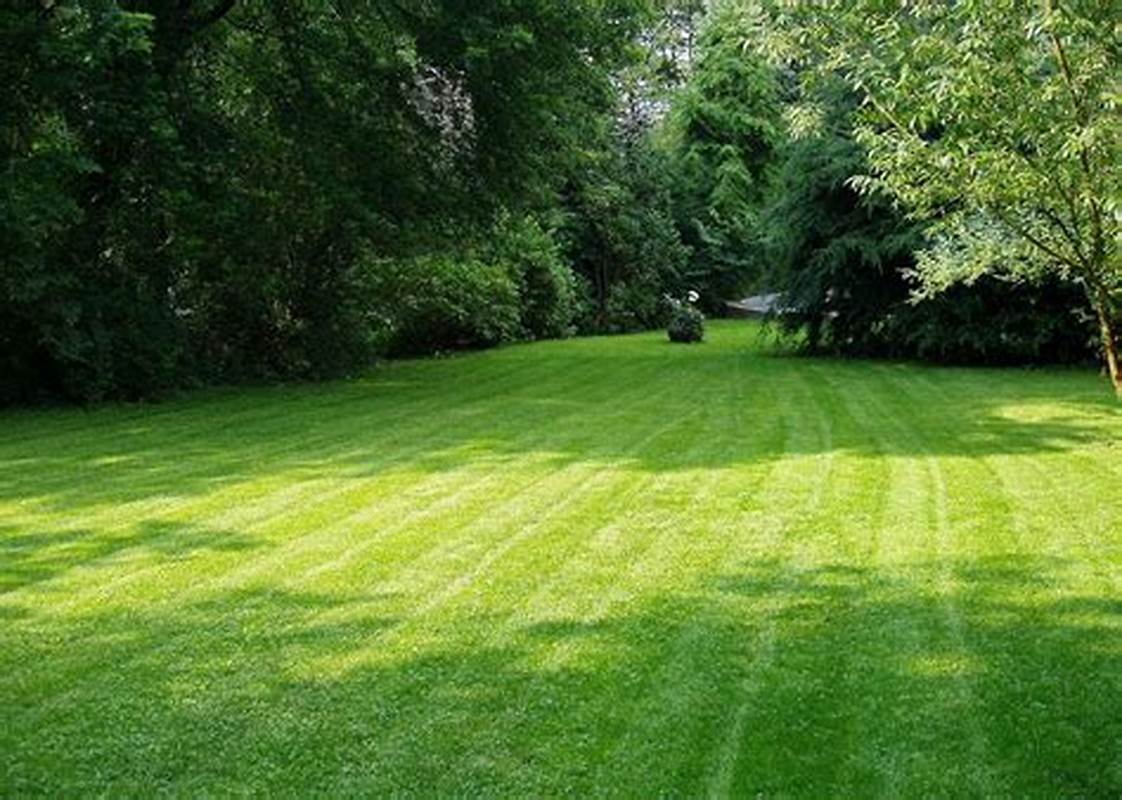Environmental factors on your lawn
