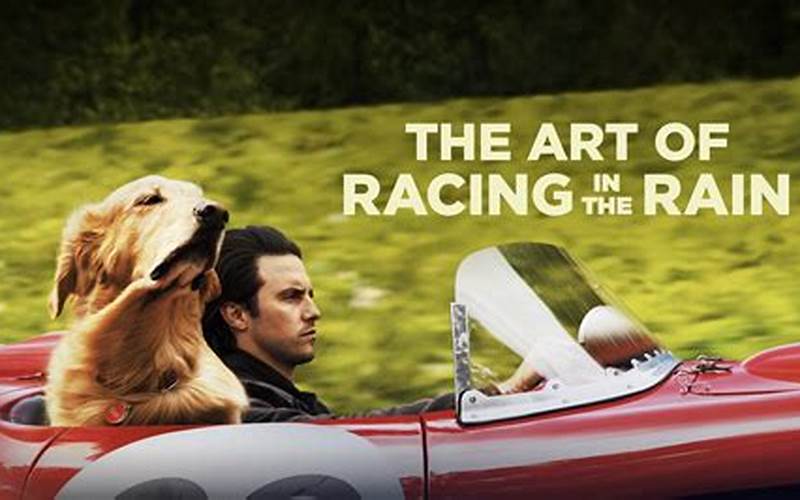 Enzo On Screen - The Art Of Racing In The Rain