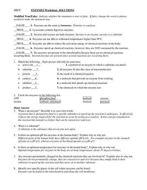 Enzymes Worksheet with Answer Key - Docsity