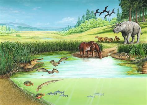 The Eocene World: A Mammal's Paradise