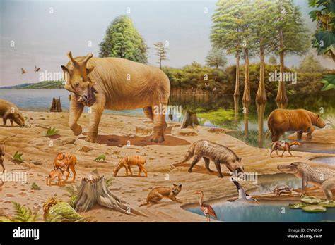 The Rise of Mammals in the Eocene