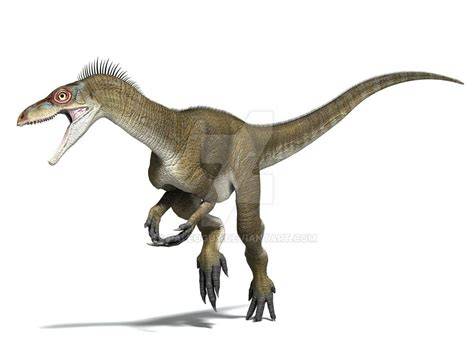 Eoraptor Teeth