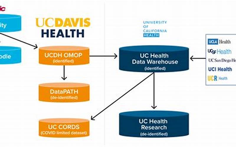 Epic Clarity Database Schema: Everything You Need to Know