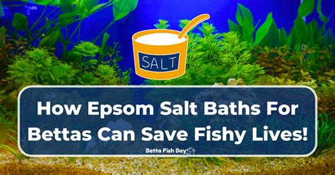 Epsom Salt For Betta