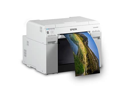Epson SureLab D870 Printer Driver: Installation and Troubleshooting Guide
