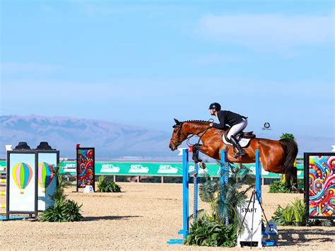 Equestrian Performance