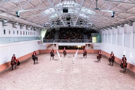 Equestrian Training Lisbon