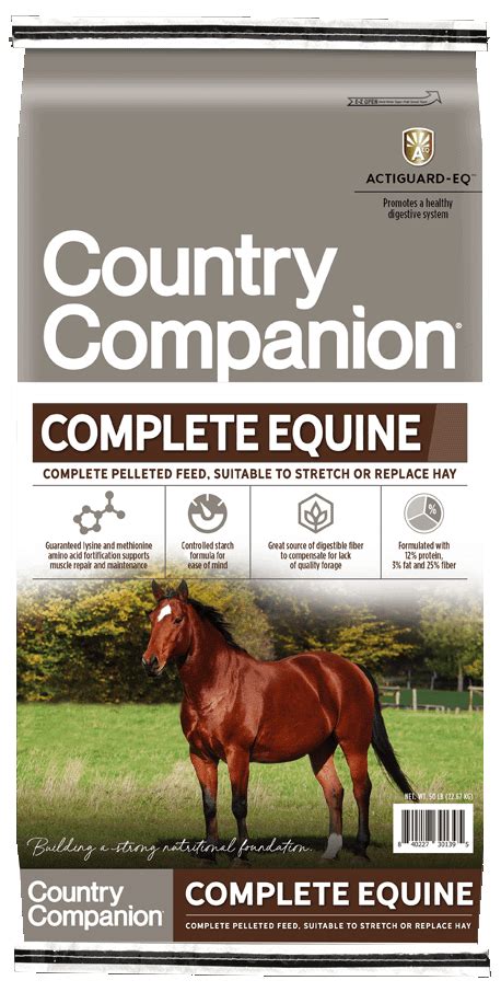Equine Companion