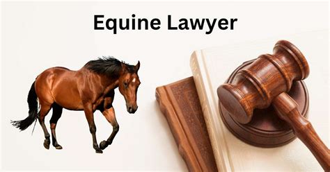 Equine Lawyer