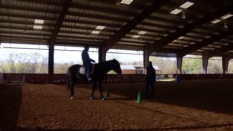 Equine Therapy Dallas & Recovery