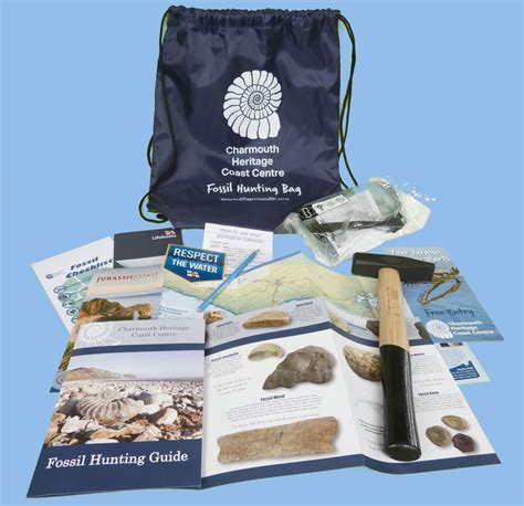 Equipment Needed for Fossil Hunting