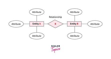 Er Data Model In Dbms