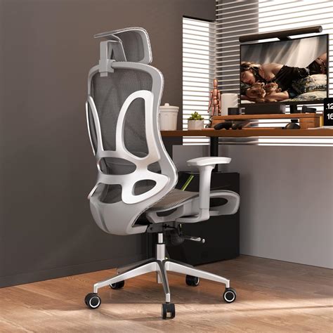 Ergonomic Chair Computer