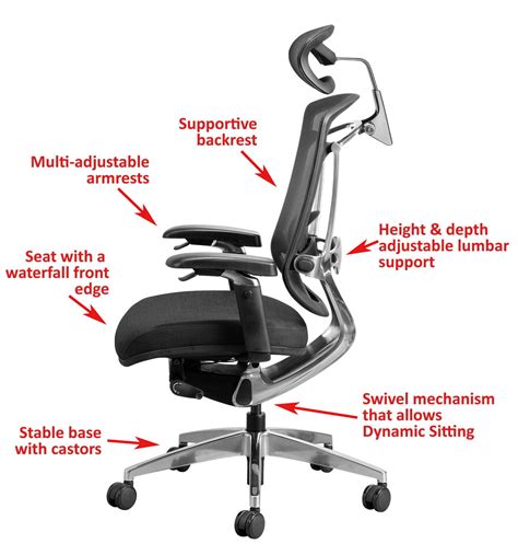 Ergonomic Chair Features