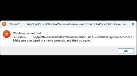 Error With Robloxplayer.exe - Microsoft Community