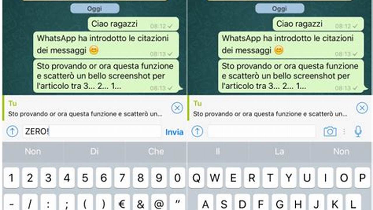 Esempi Di Tracciabilità Dei Messaggi Su Whatsapp, IT Messaggi
