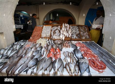 Essaouira Fish Market